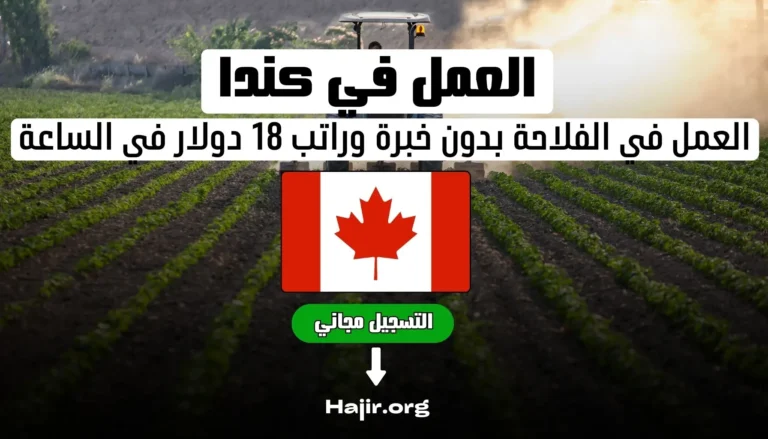 فرص العمل في الفلاحة في كندا بدون خبرة وراتب 18 دولار في الساعة