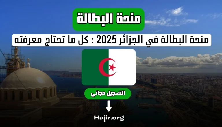 منحة البطالة في الجزائر 2025 : كل ما تحتاج معرفته