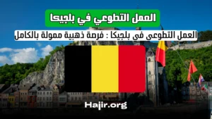العمل التطوعي في بلجيكا 2025: فرصة ذهبية ممولة بالكامل