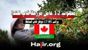 مطلوب 12 عامل مزرعة في كندا براتب 17.85 دولار في الساعة