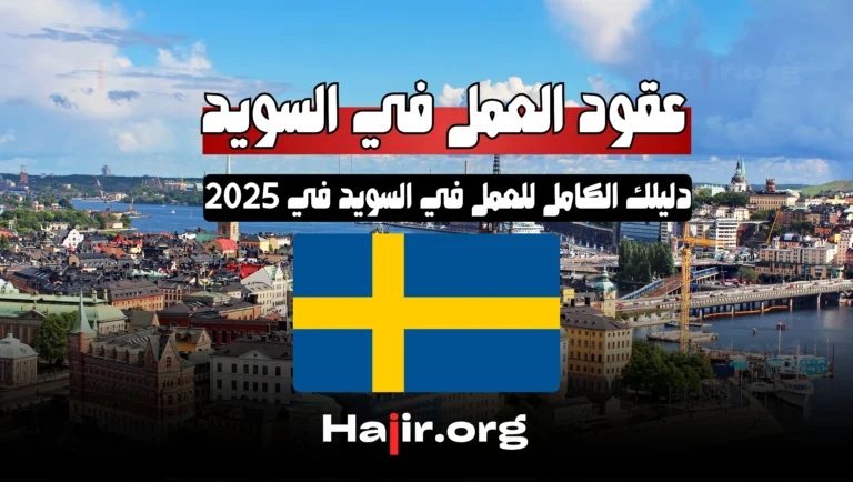 عقود العمل في السويد: دليلك الكامل للعمل في السويد في 2025