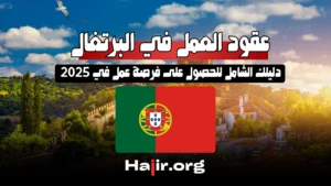 عقود العمل في البرتغال: دليلك الشامل للحصول على فرصة عمل في 2025