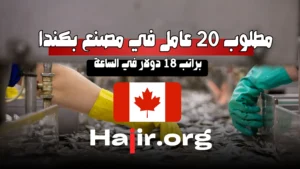 العمل في كندا,كندا,عقد عمل في كندا,الهجرة الى كندا,الهجرة إلى كندا,عامل لحام في كندا,الرواتب في كندا,فرص عمل في المغرب,الرواتب في معامل الأدوية في كندا,رواتب العاملين في معامل الادوية في كندا,فيزا كندا,فرص العمل في كندا,فرص عمل في جميع المدن المغربية,فرص عمل في كندا,كيف تبحث عن عمل في كندا,الهجرة إلى كندا بدون عقد عمل,سوق العمل في كندا,عرض العمل في كندا