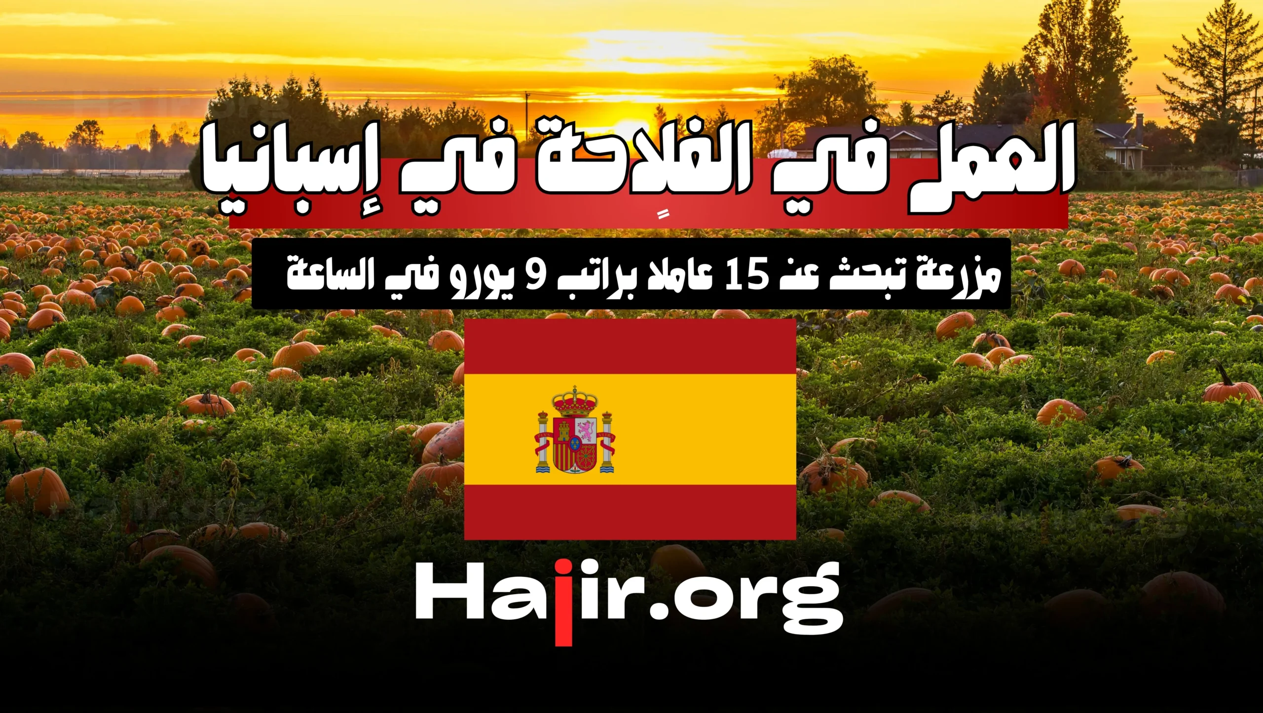 العمل في الفلاحة في إسبانيا 2025: مزرعة تبحث عن 15 عاملًا براتب 9 يورو للساعة
