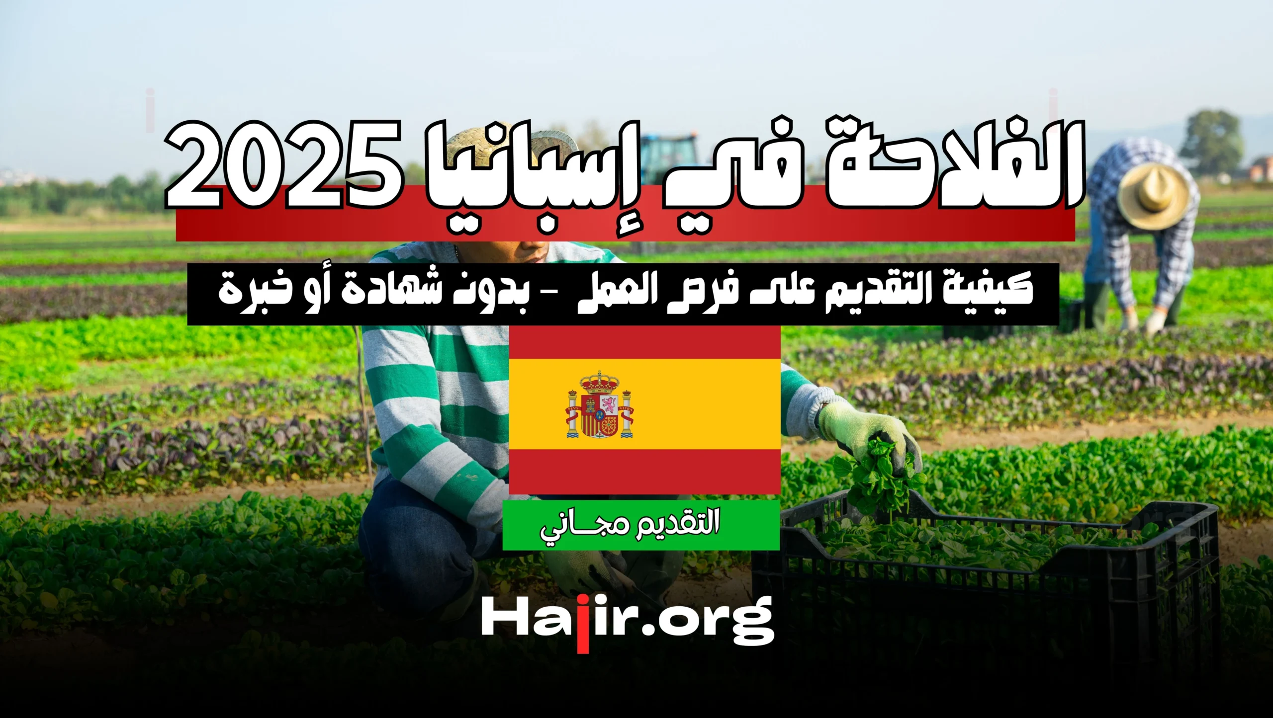 كيفية التقديم على فرص العمل في الفلاحة في إسبانيا 2025 – بدون شهادة أو خبرة