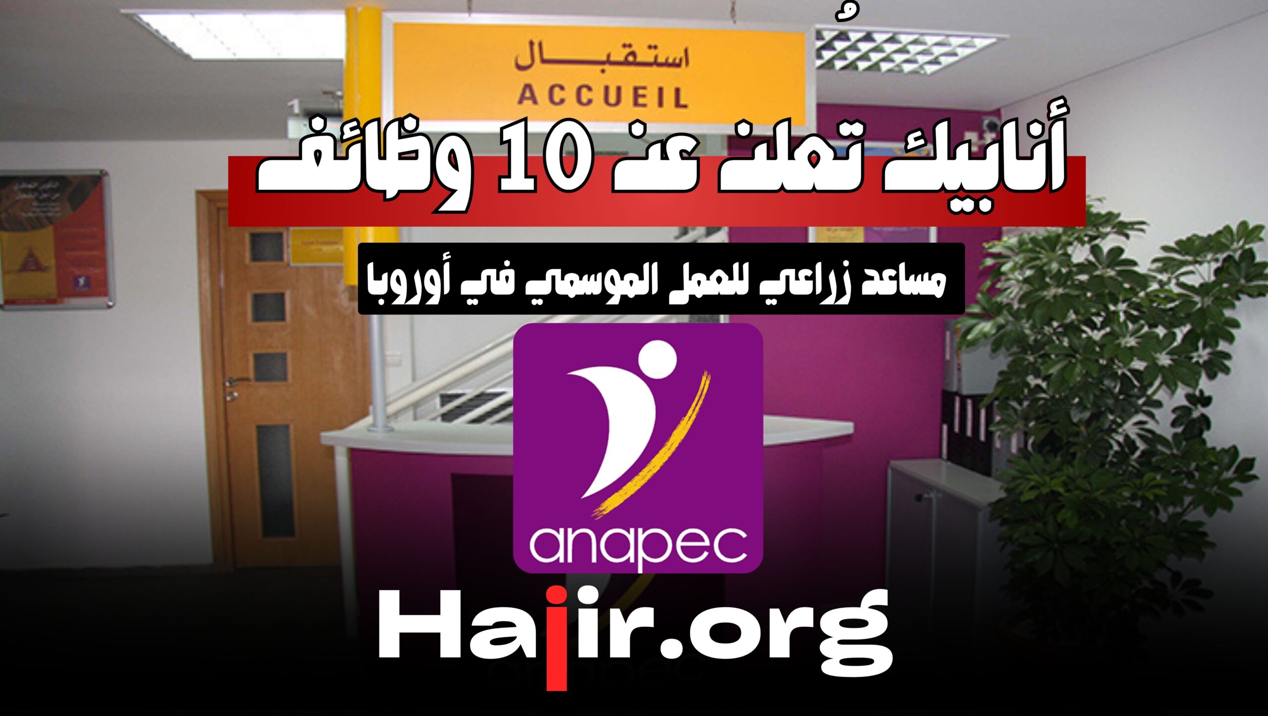 أنابيك تُعلن عن 10 وظائف مساعد زراعي للعمل الموسمي في أوروبا