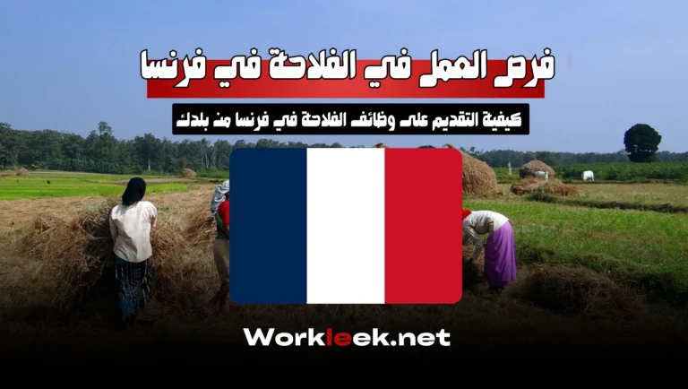 Farm Jobs in France 2025: Seasonal Work Opportunities Available Now
