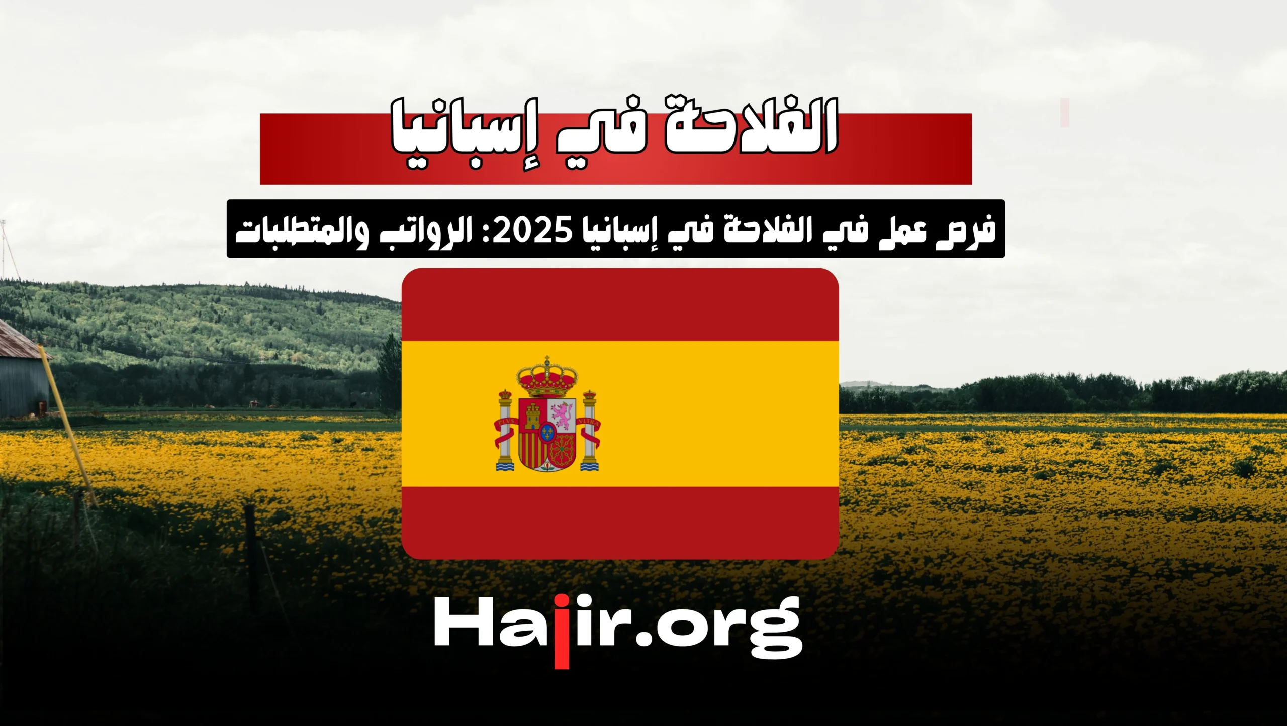 Farm Jobs in Spain 2025: Salaries, Requirements, and Opportunities