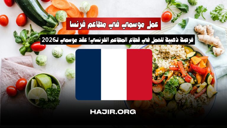 Seasonal Work Contract in France: Restaurant Sector with Free Accommodation – Apply Now!